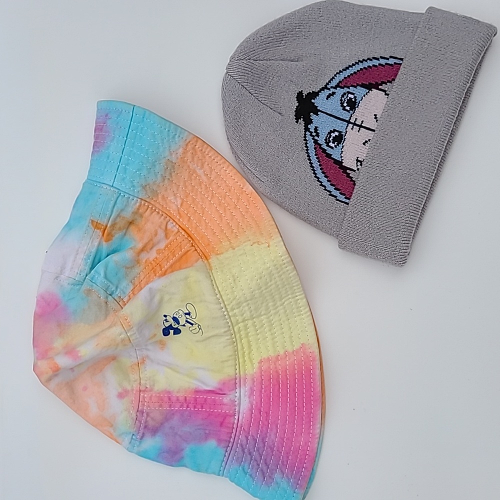 Disney Parks Hat & Eeyore Beenie
